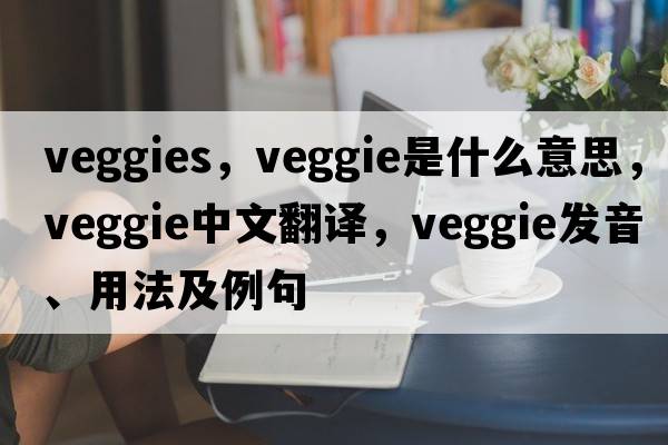veggies，veggie是什么意思，veggie中文翻譯，veggie發(fā)音、用法及例句