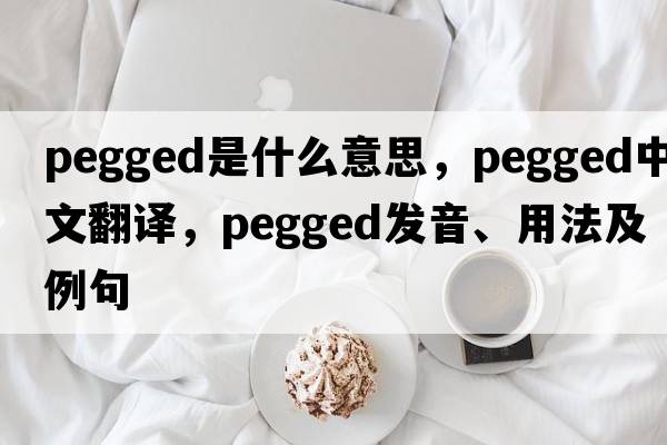 pegged是什么意思，pegged中文翻譯，pegged發(fā)音、用法及例句