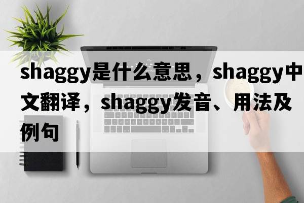 shaggy是什么意思，shaggy中文翻譯，shaggy發(fā)音、用法及例句