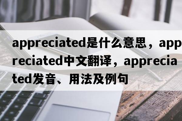 appreciated是什么意思，appreciated中文翻譯，appreciated發(fā)音、用法及例句