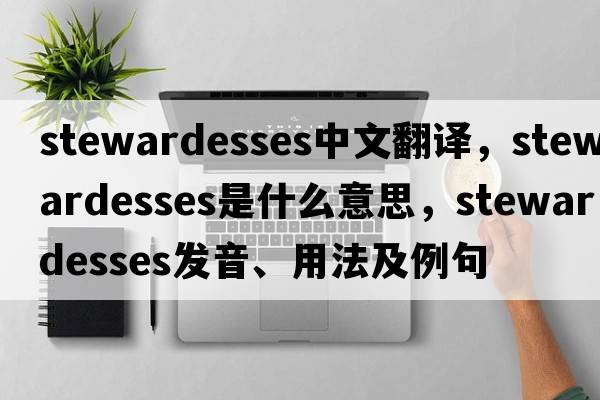 stewardesses中文翻譯，stewardesses是什么意思，stewardesses發(fā)音、用法及例句