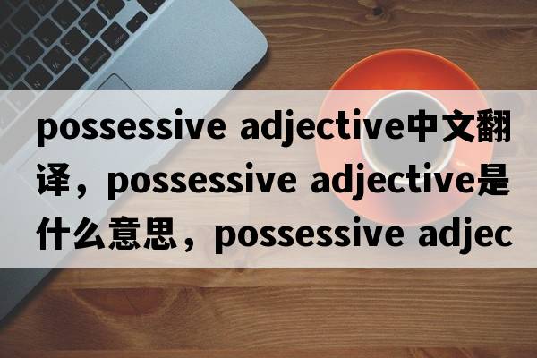 possessive adjective中文翻譯，possessive adjective是什么意思，possessive adjective發(fā)音、用法及例句