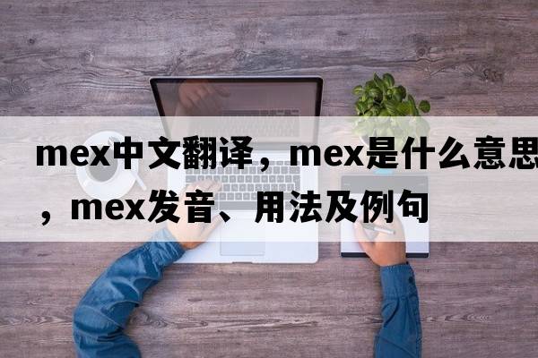 mex中文翻譯，mex是什么意思，mex發(fā)音、用法及例句