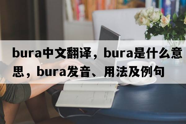 Bura中文翻譯，Bura是什么意思，Bura發(fā)音、用法及例句