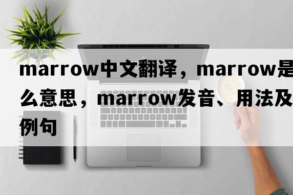 marrow中文翻譯，marrow是什么意思，marrow發(fā)音、用法及例句
