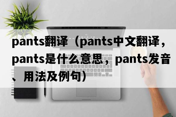 pants翻譯（pants中文翻譯，pants是什么意思，pants發(fā)音、用法及例句）