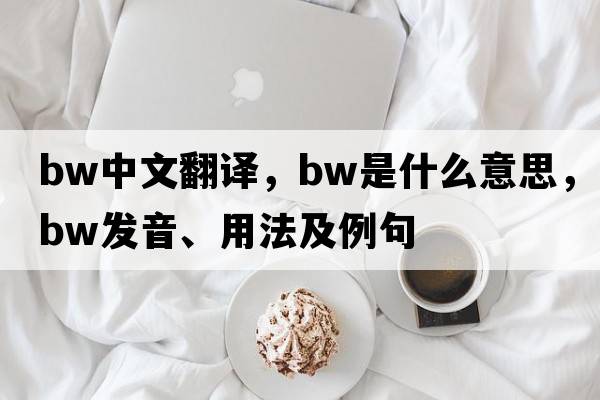bw中文翻譯，bw是什么意思，bw發(fā)音、用法及例句
