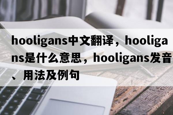 hooligans中文翻譯，hooligans是什么意思，hooligans發(fā)音、用法及例句
