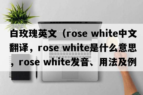 白玫瑰英文（rose white中文翻譯，rose white是什么意思，rose white發(fā)音、用法及例句）