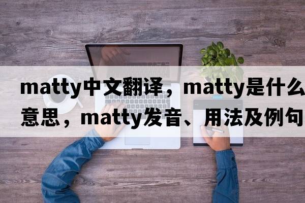 Matty中文翻譯，Matty是什么意思，Matty發(fā)音、用法及例句
