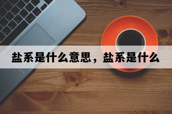 鹽系是什么意思，鹽系是什么