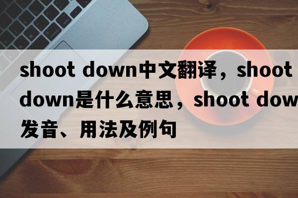 shoot down中文翻譯，shoot down是什么意思，shoot down發(fā)音、用法及例句