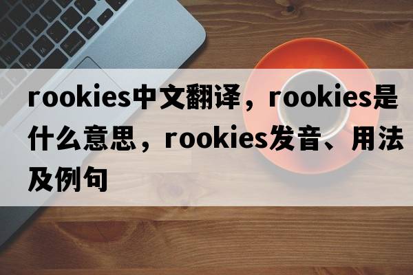 rookies中文翻譯，rookies是什么意思，rookies發(fā)音、用法及例句