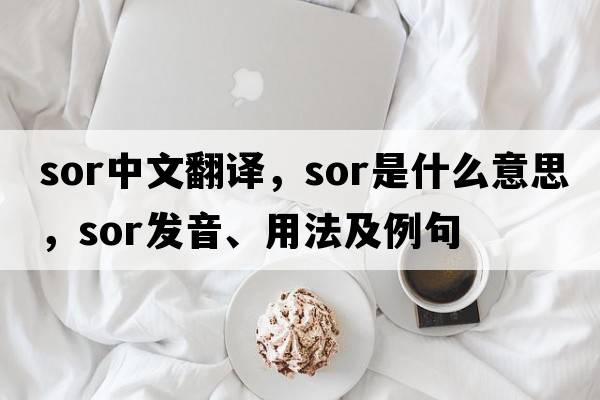sor中文翻譯，sor是什么意思，sor發(fā)音、用法及例句